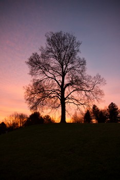 2014 01 07_Britzer Garten_0030-1.jpg