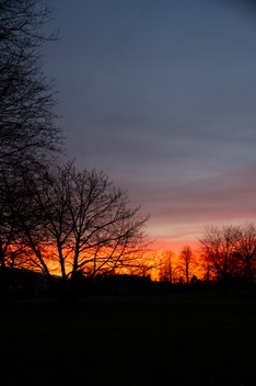 2014 01 07_Britzer Garten_0046-2.jpg