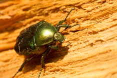 20140618_Ausflug nach Tollkrug und anderen Dörfern_1250-1.jpg