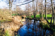 Britzer Garten-0.jpg