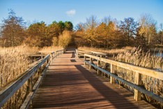 Britzer Garten 2.jpg