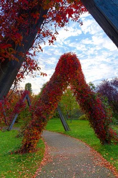 Herbst-5-HDR2-1.jpg