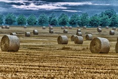 20140810_Ostsee_3721-5.jpg