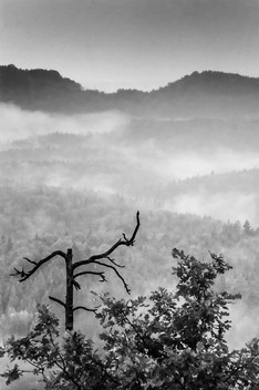 20140815_Elbsandsteingebirge_4318-2-11.jpg