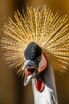 Eberswalde Zoo-465.jpg