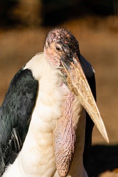 Eberswalde Zoo-715.jpg