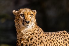 Eberswalde Zoo-822.jpg