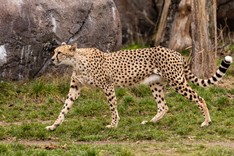 Zoo Leipzig-110.jpg