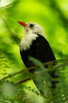 Zoo Leipzig-1114.jpg