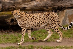 Zoo Leipzig-136.jpg