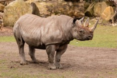 Zoo Leipzig-210.jpg