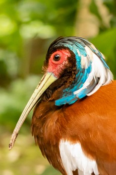 Zoo Leipzig-963.jpg