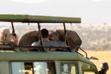 Safari Tag 2-186.jpg