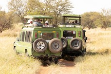 Safari Tag 2-226.jpg