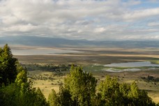 Safari Tag 3-921.jpg