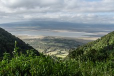 Safari Tag 3-941.jpg