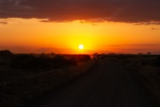 Safari Tag 5-117.jpg