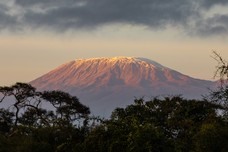 Safari Tag 5-148.jpg