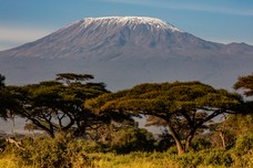 Safari Tag 5-151.jpg