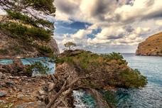 Mallorca--7.jpg