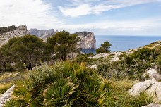 Mallorca-77.jpg