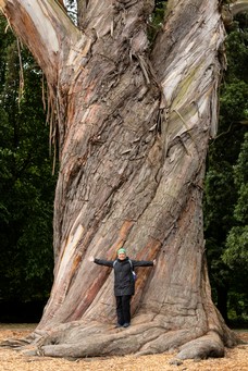 Neuseeland-358.jpg