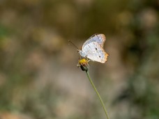 Costa Rica Tag 8 (30 von 74).jpg