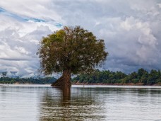 Laos Kambodscha Tag 12 (31 von 108).jpg