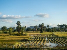 Laos Kambodscha Tag 21 (2 von 17).jpg