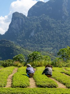 Laos Kambodscha Tag 4-60.jpg